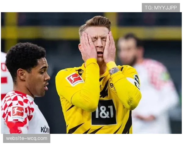 德甲官方应用程序下载量突破一亿次，付费订阅用户增长率环比下降